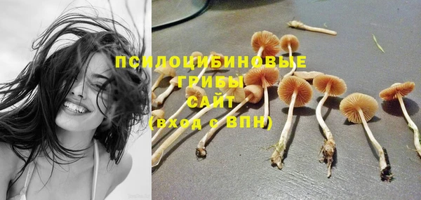 а пвп мука Осташков