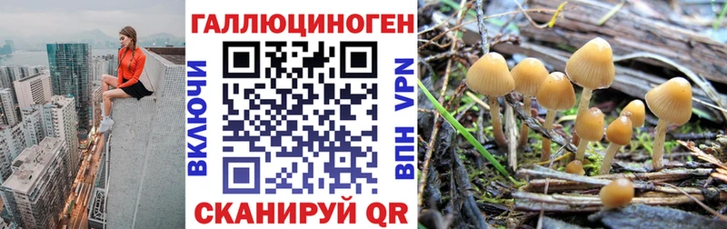 Псилоцибиновые грибы мицелий Купить где Астрахань
